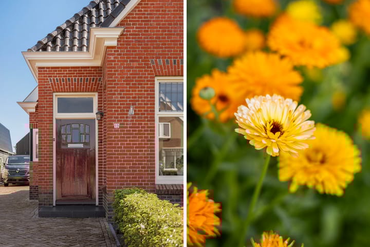 Foto 12 van Foarwei 13