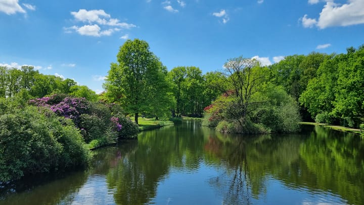 Foto 46 van Koninginnelaan 120