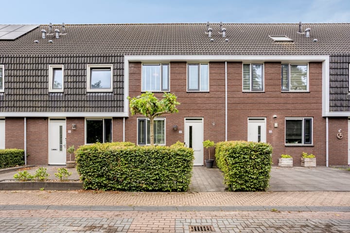 Foto 4 van Populier 17