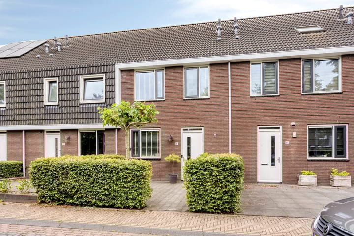 Foto 5 van Populier 17