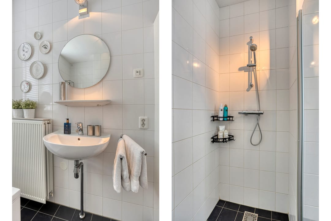 Foto 17 van Populier 17