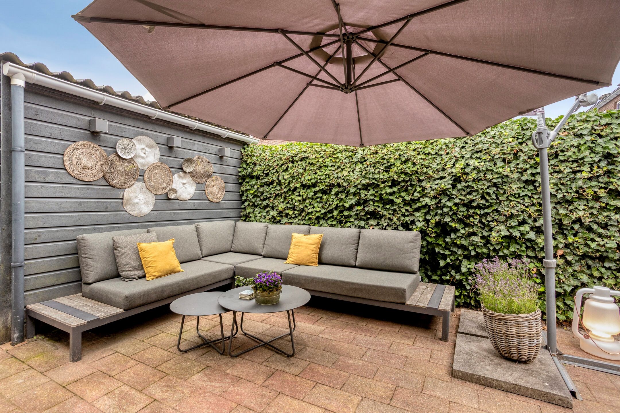 Foto 24 van Populier 17