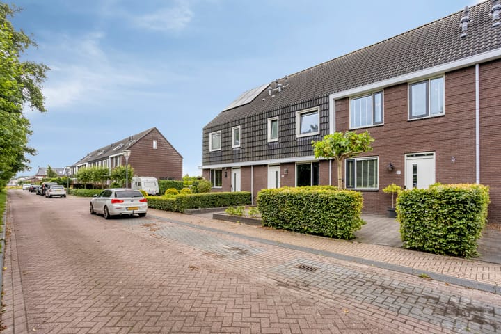 Foto 26 van Populier 17