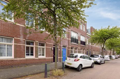 Teijlerstraat thumbnail