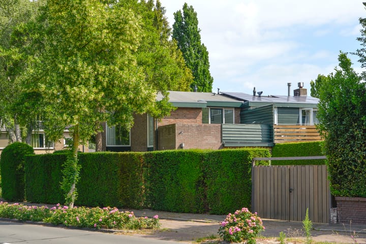 Foto 20 van Chopinlaan 10