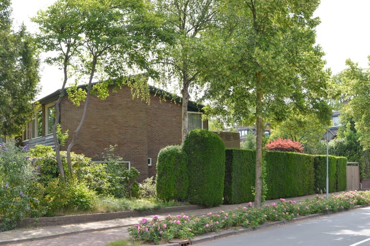 Foto 21 van Chopinlaan 10