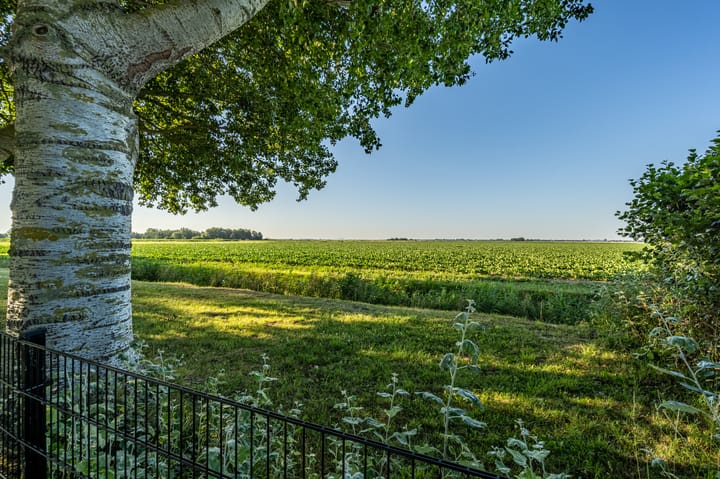 Photo 20 of Ritselaarsdijk 10