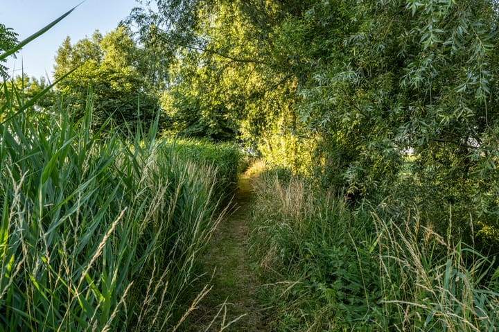 Photo 23 of Ritselaarsdijk 10