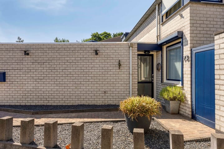 Foto 3 van Penningkruid 73