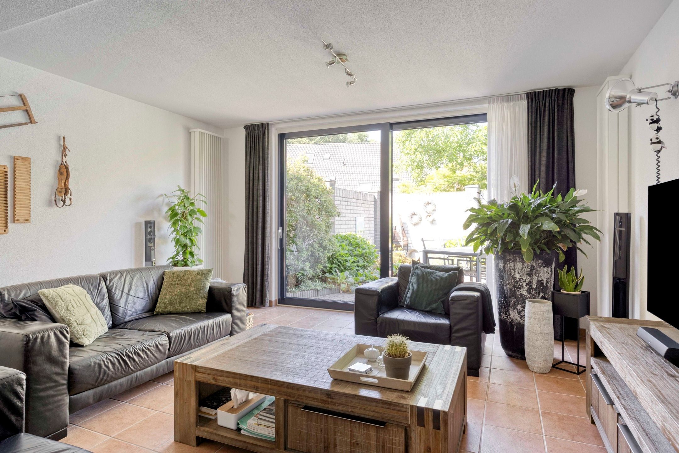 Foto 12 van Penningkruid 73