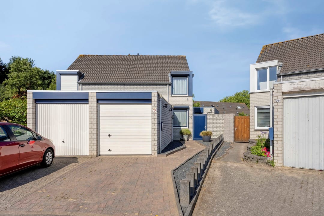 Foto 2 van Penningkruid 73