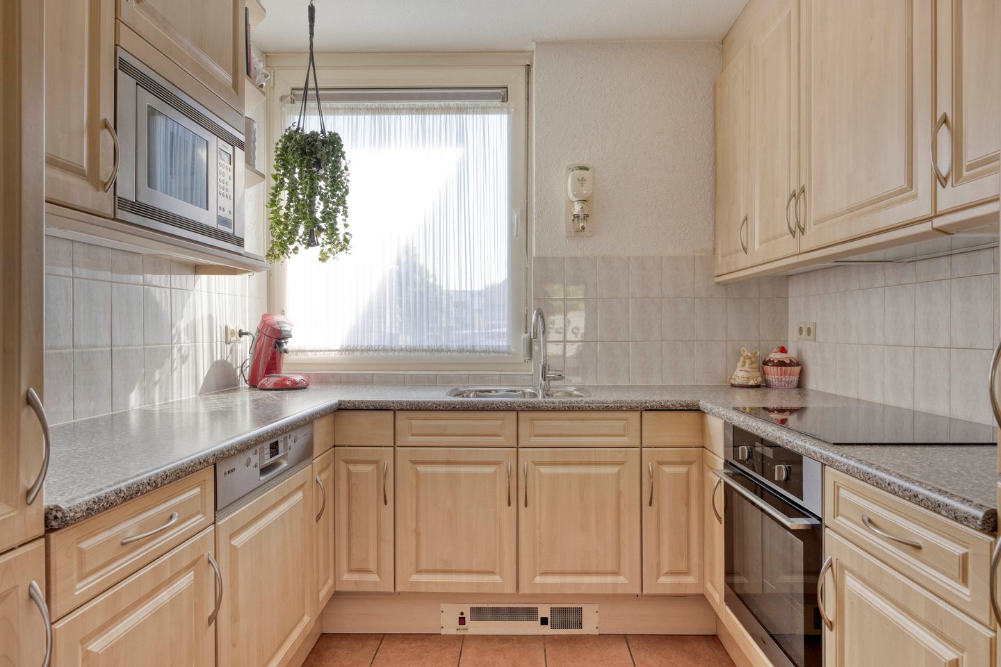 Foto 5 van Penningkruid 73