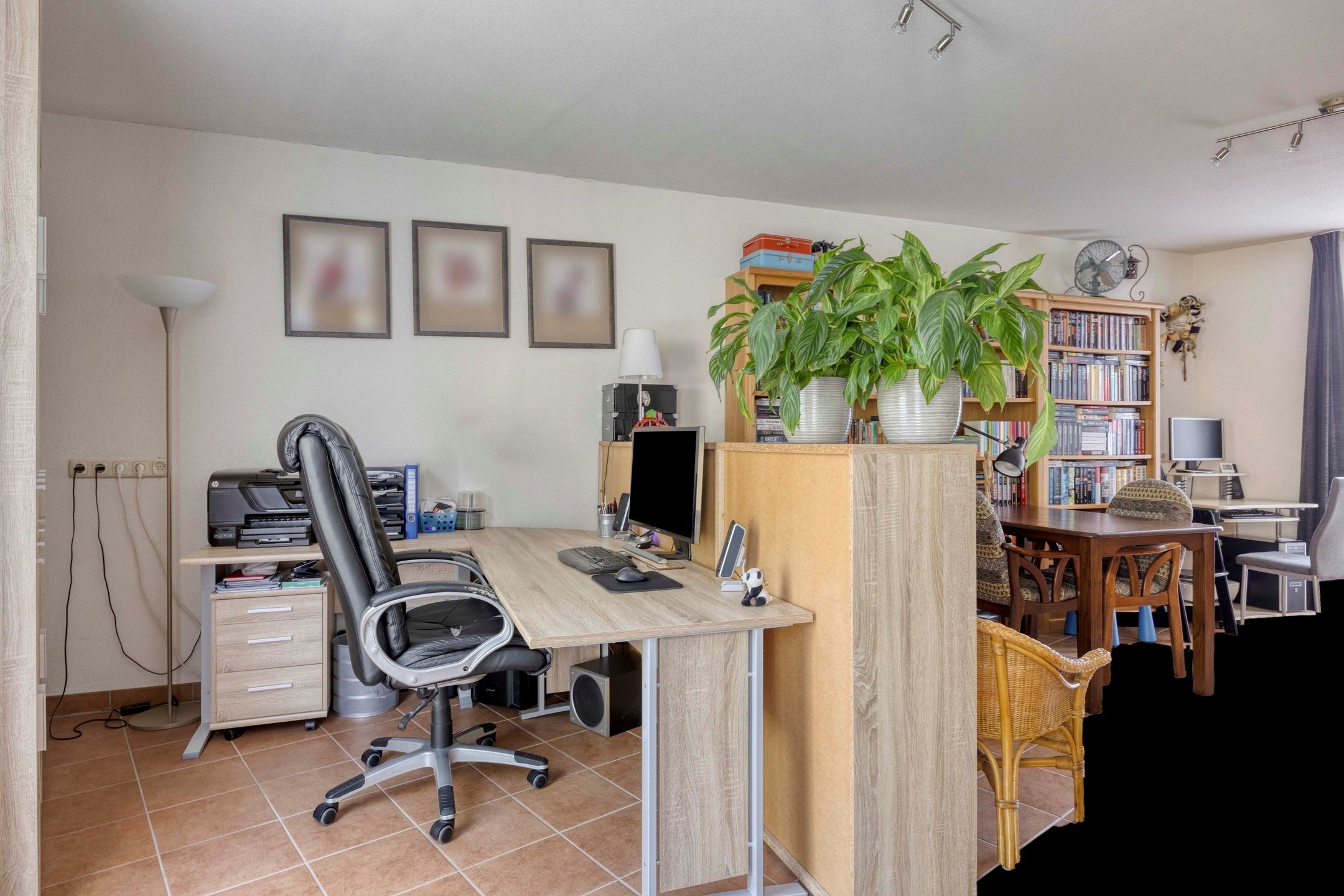 Foto 15 van Penningkruid 73