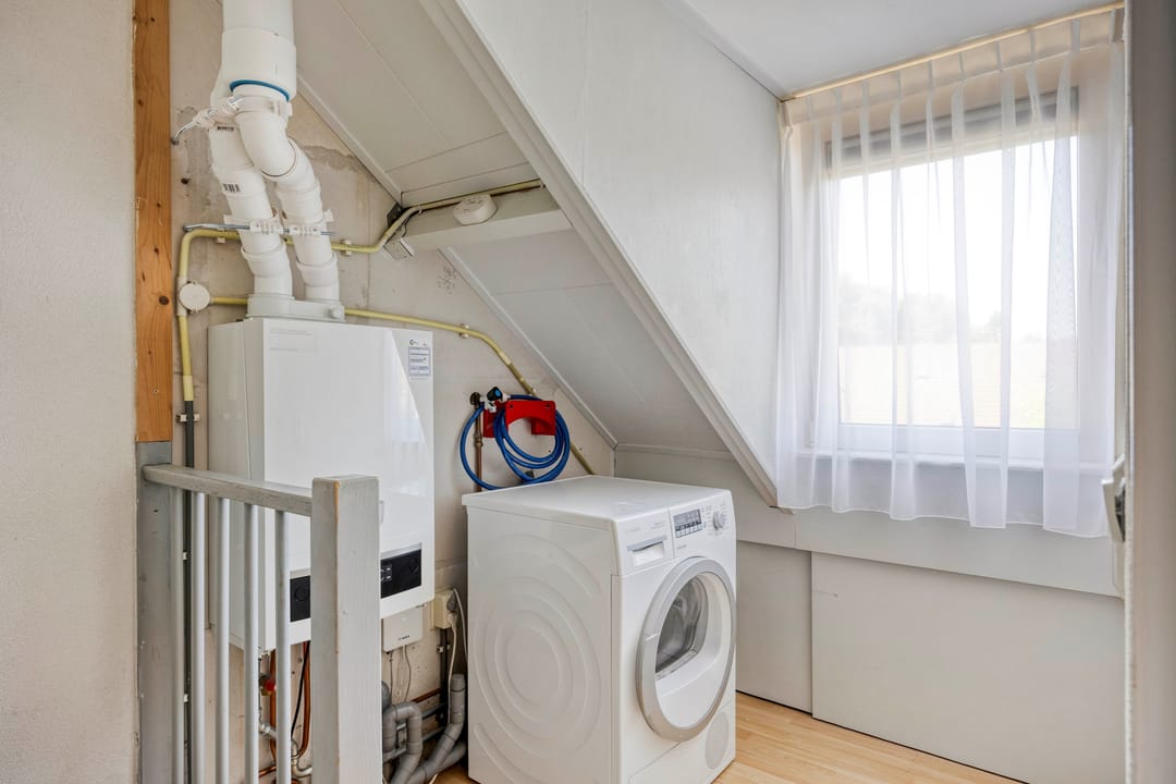 Foto 23 van Penningkruid 73