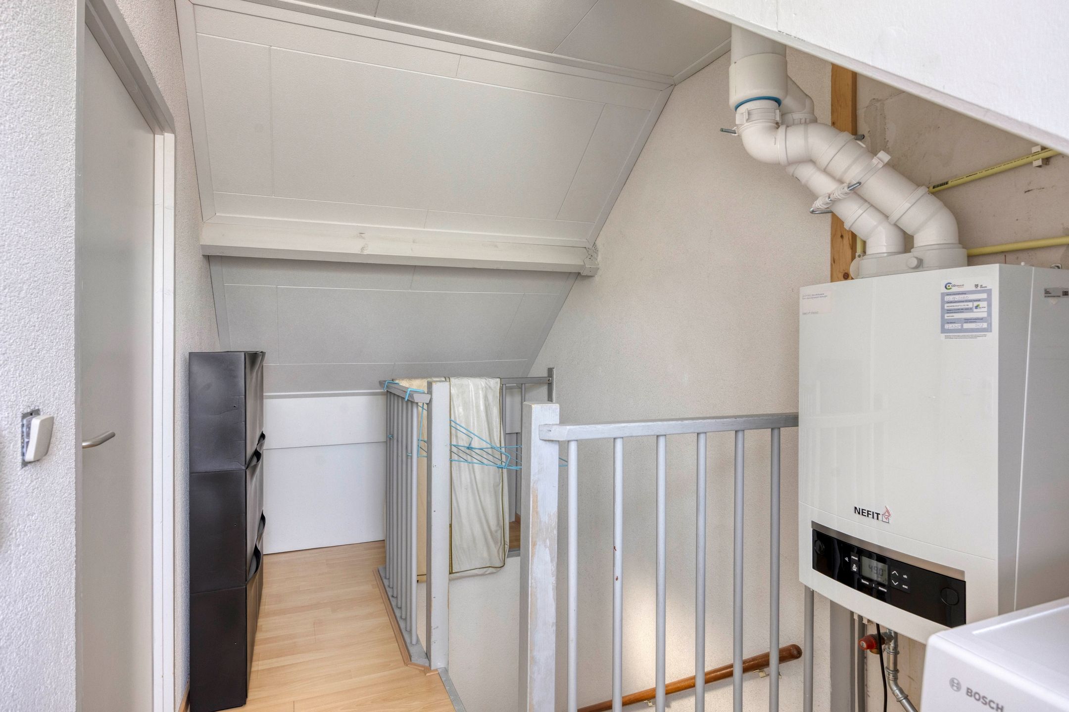 Foto 24 van Penningkruid 73