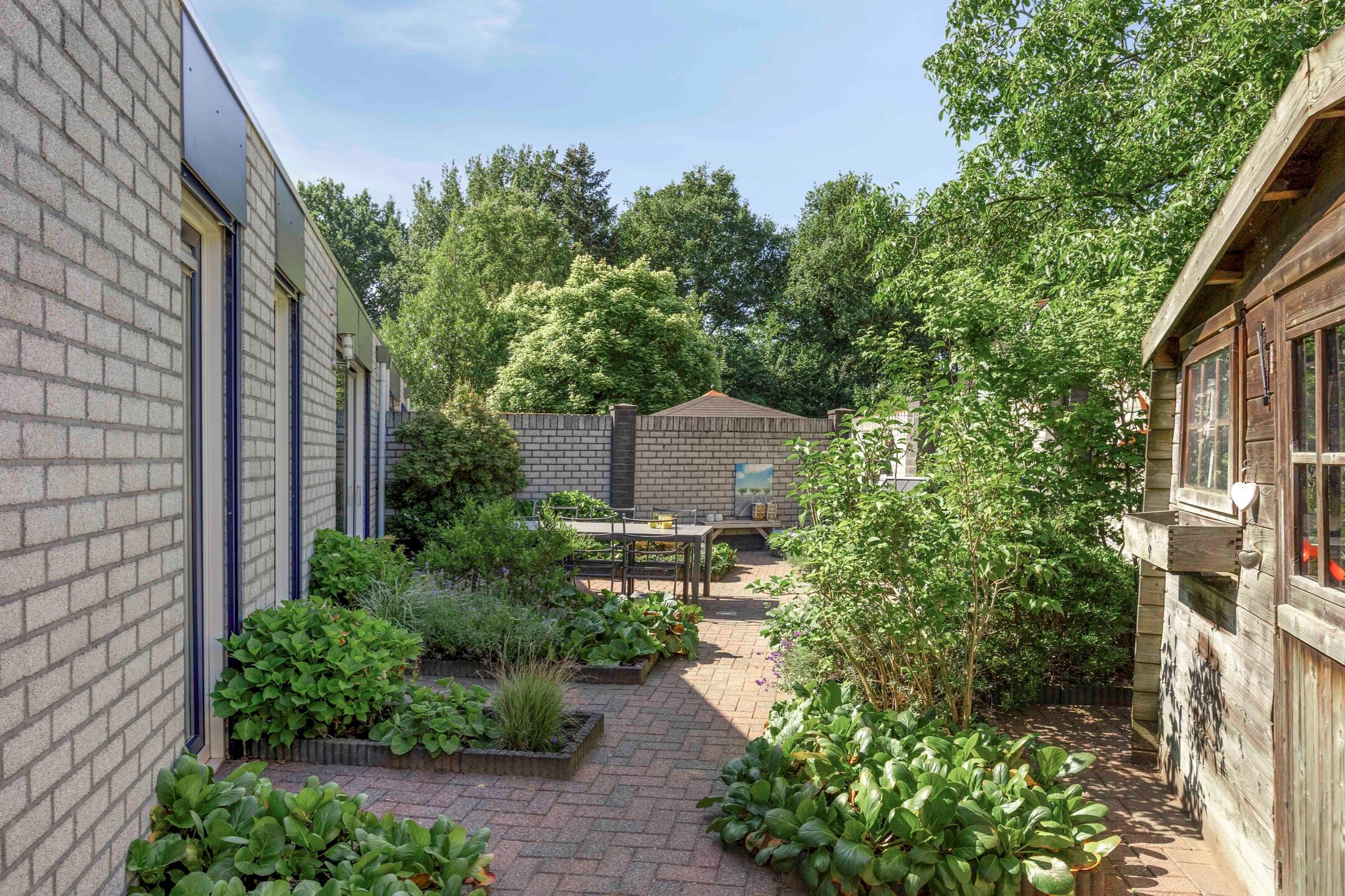 Foto 30 van Penningkruid 73