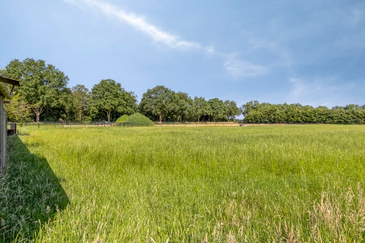 Foto 23 van Neerrijt 3