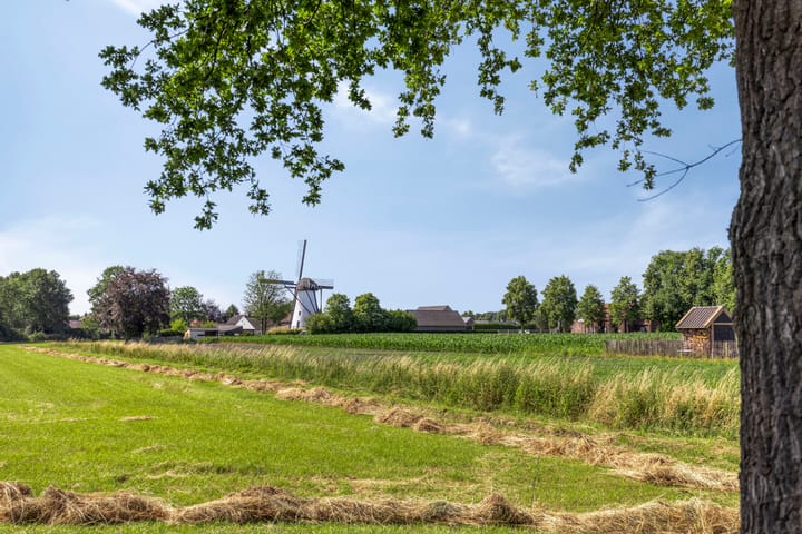 Foto 31 van Neerrijt 3