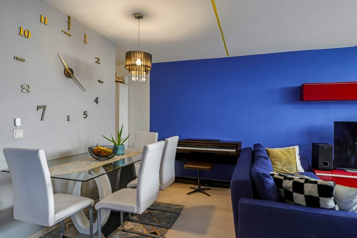 Foto 28 van Dr. Willem Dreessingel 215