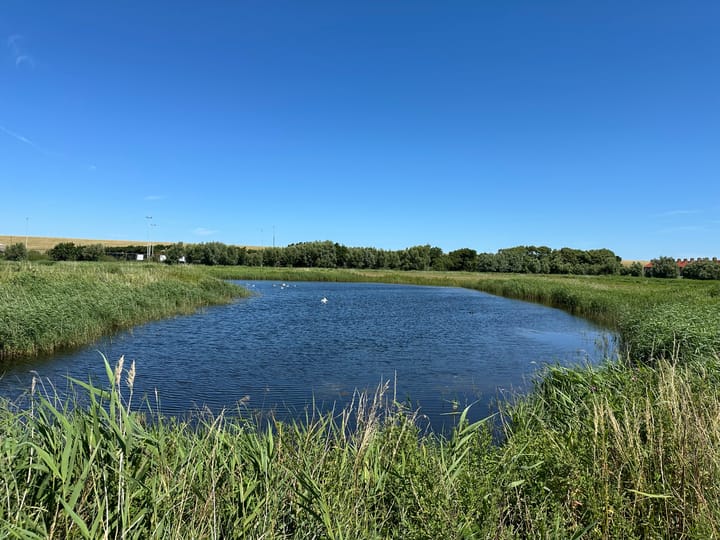 Foto 31 van Jacob van Heemskerckstraat 9