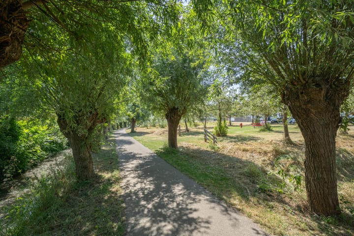 Photo 8 of Bijenstraat 6