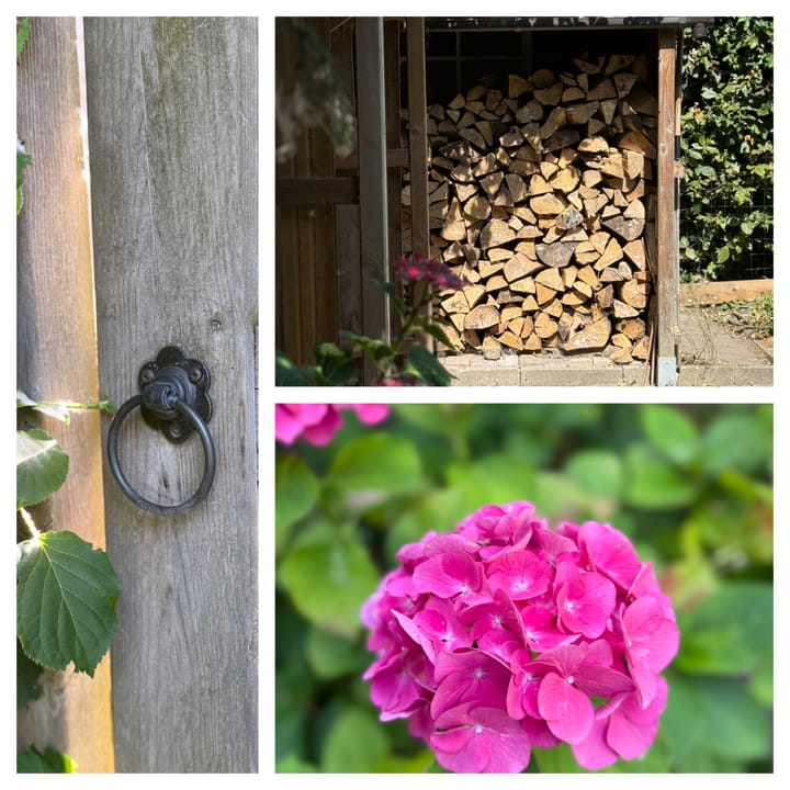 Photo 38 of Bijenstraat 6