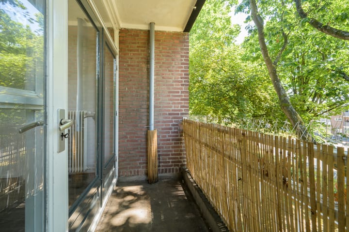 Foto 20 van Tobias Asserlaan 316