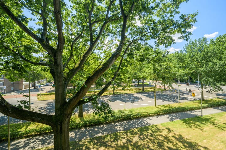 Foto 21 van Tobias Asserlaan 316