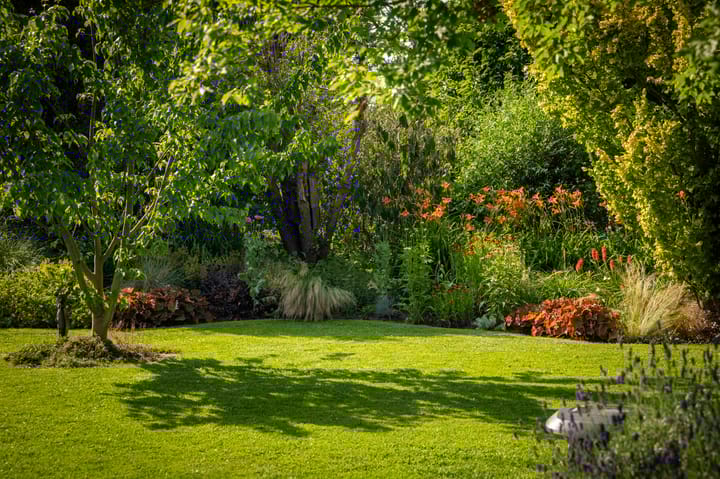 Foto 45 van Dorpsstraat 9