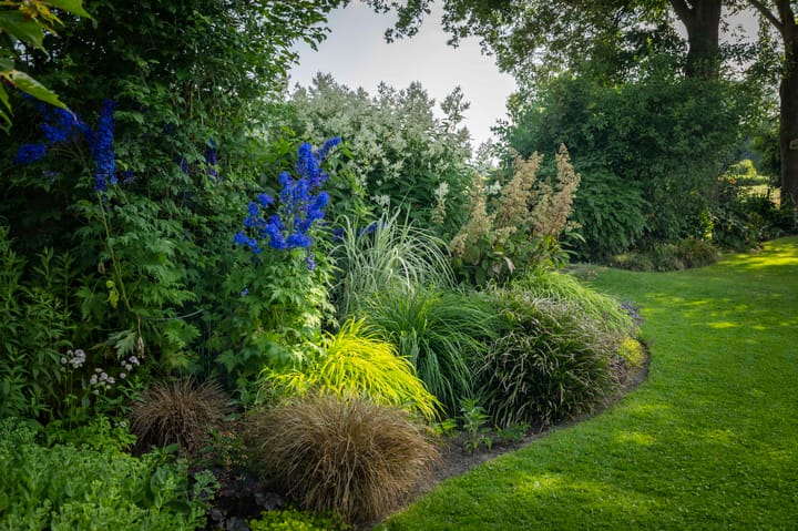 Foto 46 van Dorpsstraat 9