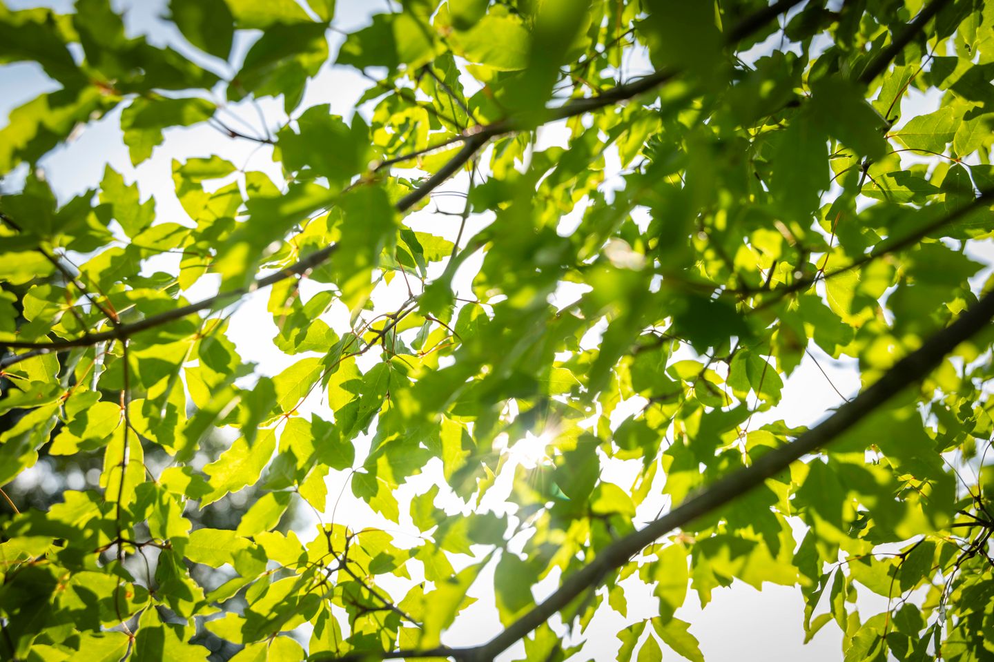 Foto 50 van Dorpsstraat 9