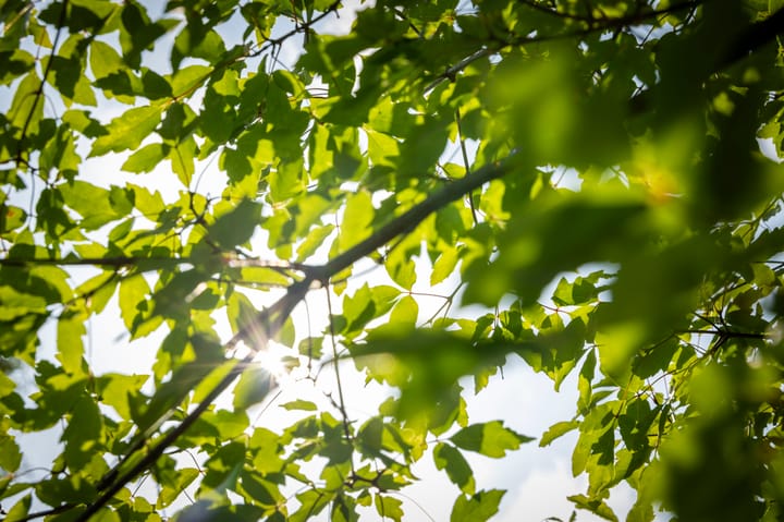 Foto 51 van Dorpsstraat 9