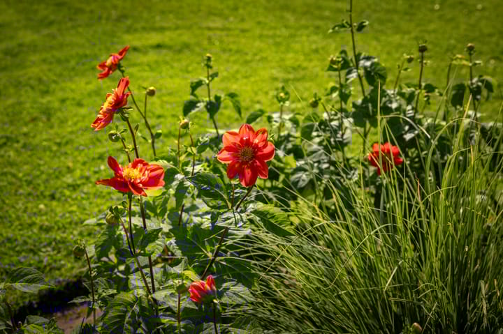 Foto 53 van Dorpsstraat 9