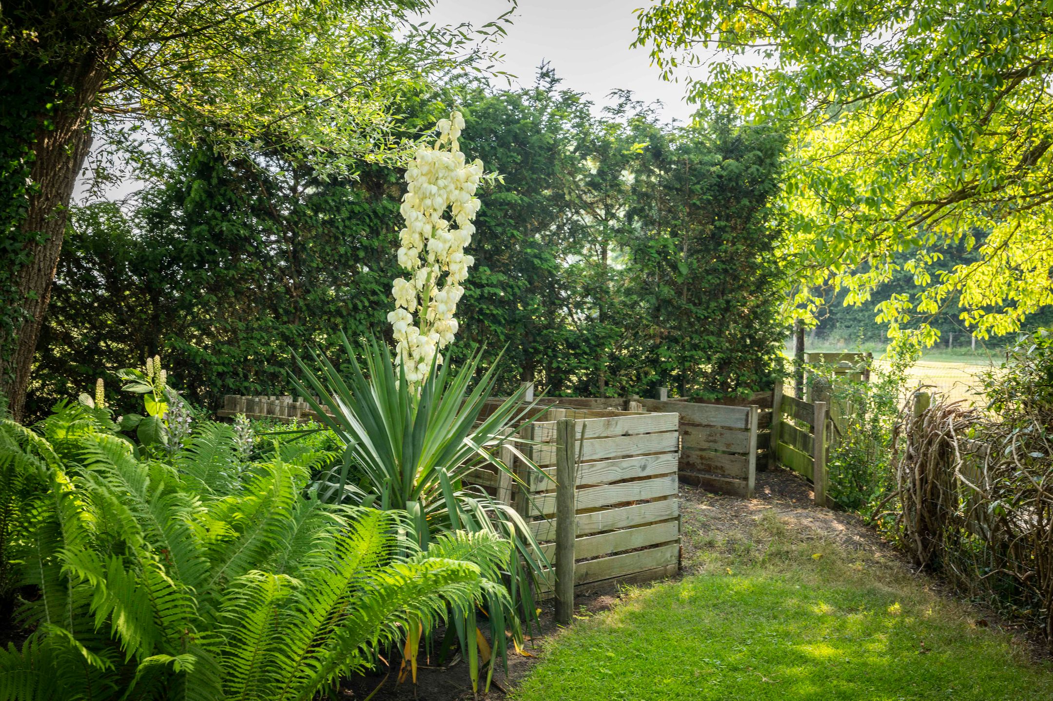 Foto 57 van Dorpsstraat 9