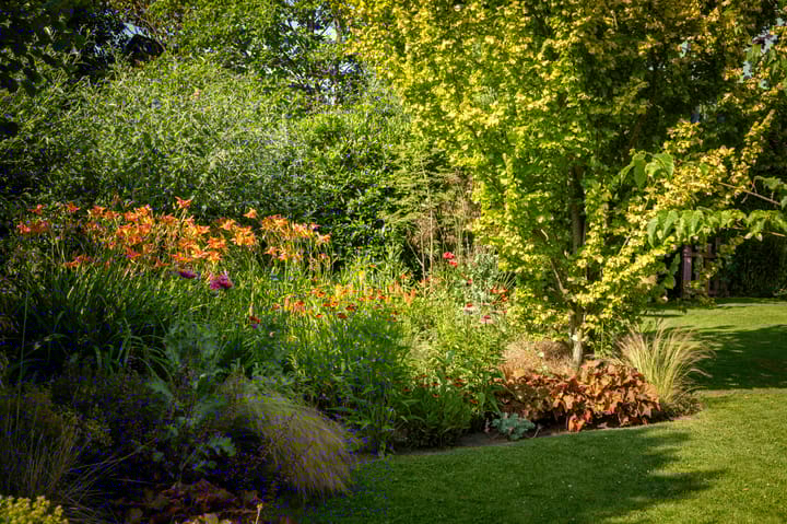 Foto 61 van Dorpsstraat 9