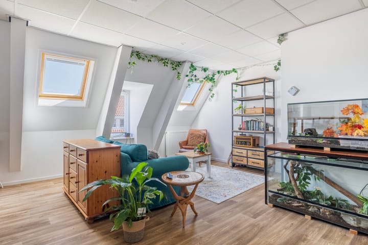 Photo 27 of Achter de Hoven 178