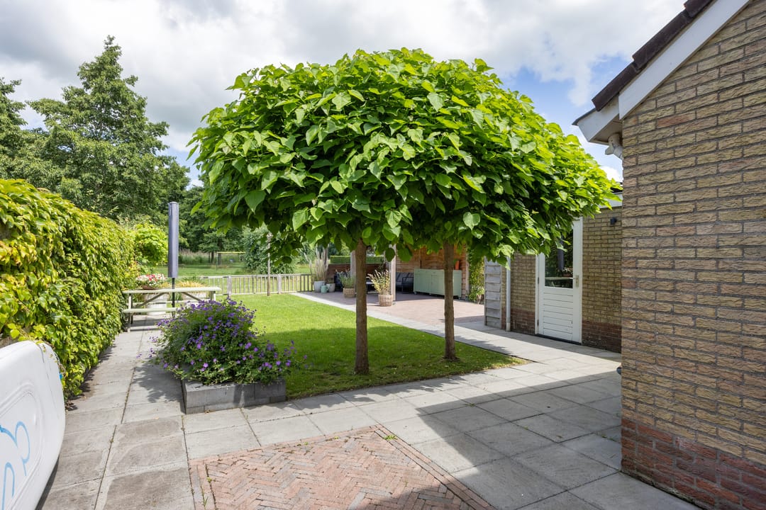 Foto 38 van De Terpen 5