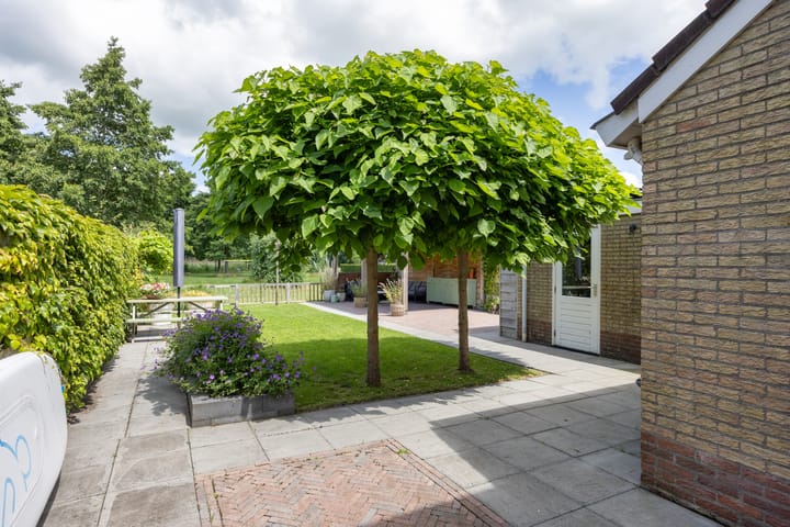 Foto 38 van De Terpen 5