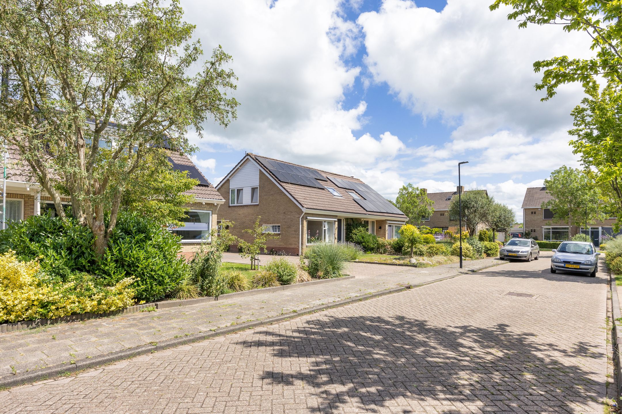 Foto 48 van De Terpen 5