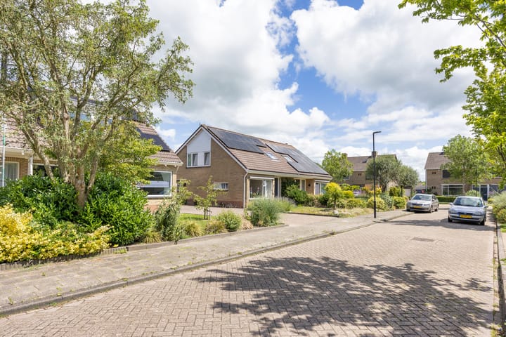 Foto 48 van De Terpen 5