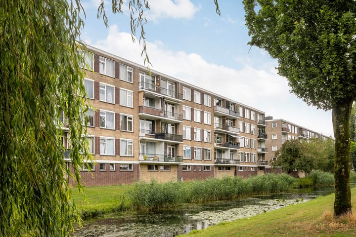 Foto 1 van Dahliastraat 220