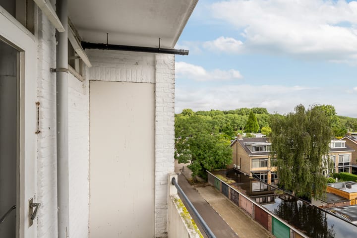 Foto 11 van Dahliastraat 220