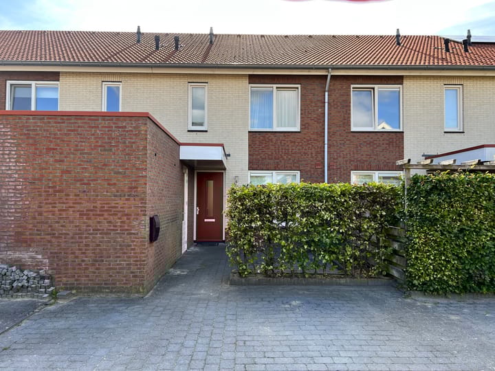 undefined main image
