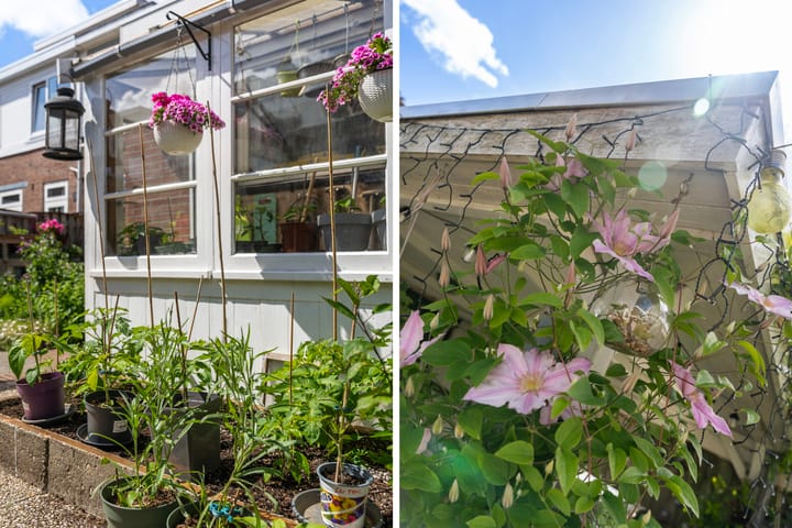 Foto 36 van Begoniastraat 1