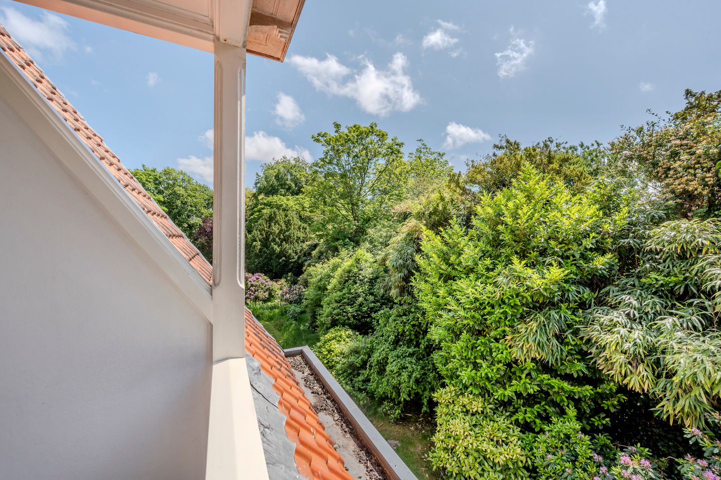 Foto 35 van Oranje Nassaulaan 31