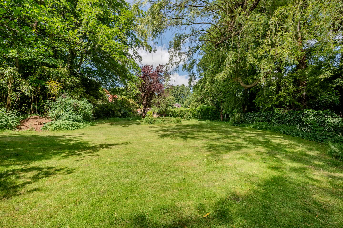 Foto 55 van Oranje Nassaulaan 31