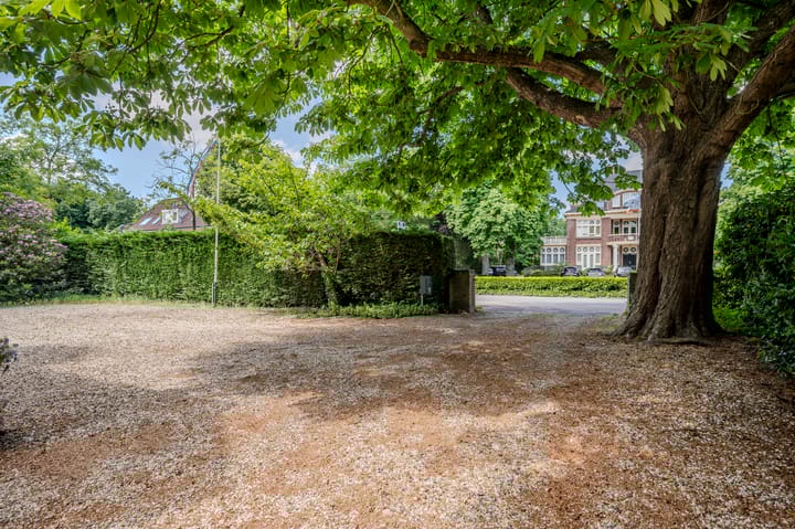 Foto 59 van Oranje Nassaulaan 31