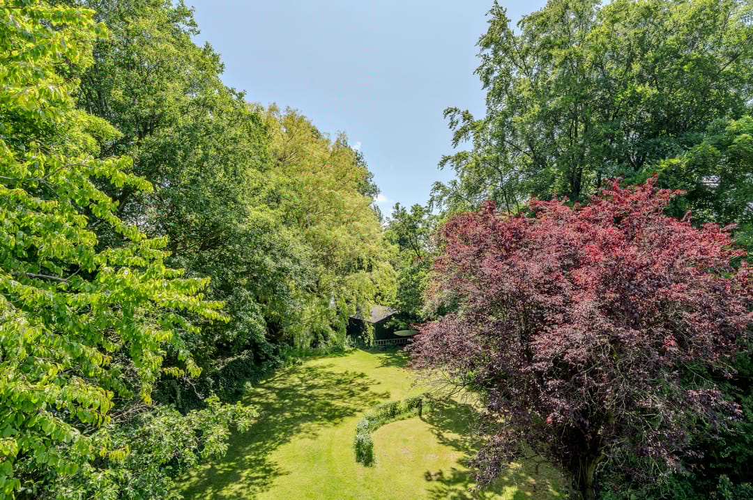 Foto 61 van Oranje Nassaulaan 31