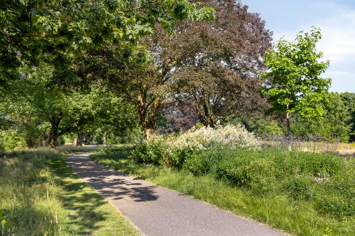 Foto 36 van De Glazenmaker 9