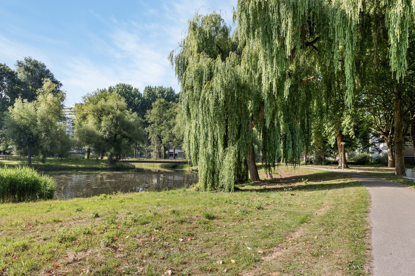 Foto 29 van Jonkerbos 74